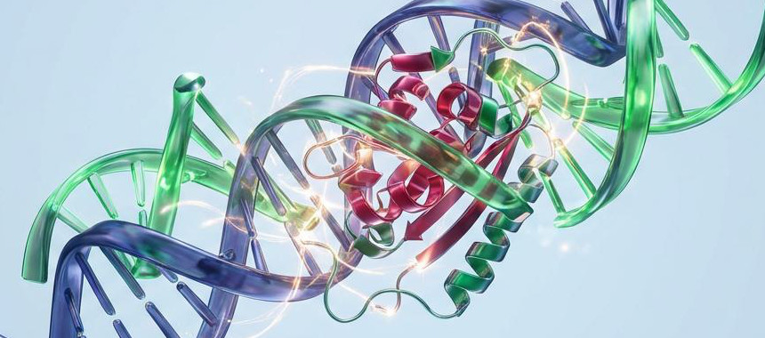 Molecular Biology Report Cover TrendFeedr