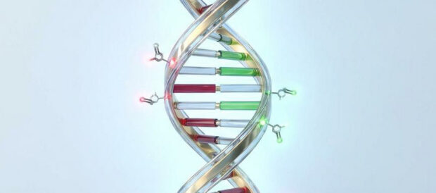 Epigenetics Report Cover TrendFeedr