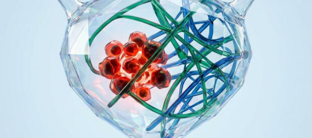 Bladder Cancer Report Cover TrendFeedr