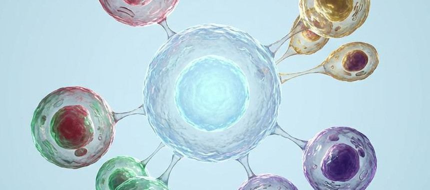 Stem Cell Biology Report Cover TrendFeedr